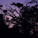 별들의전쟁 이미지