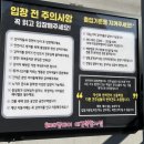 CU김해평전사거리점 | [김해/내동] 김해 애견카페 추천 “해피멍데이” 실내 수영장 대관 후기