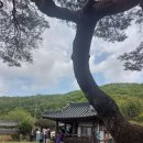 무기연당 (함안) 이미지