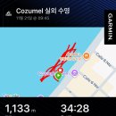 (주)아이언 | 철인3종 킹코스 해외 아이언맨 멕시코 코즈멜 대회 후기