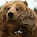 호타루 이미지