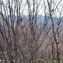 위천 석재단지 이미지