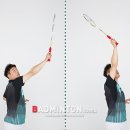 하이코치 이미지