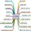 프리랜서 티스토리