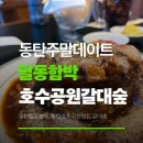 필동 | 동탄호수공원 갈대숲 산책과 필동함박 맛집 후기 – 주말 완전 힐링 코스!