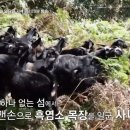 홍가네농장 이미지