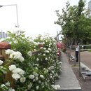 시곡공원 이미지