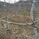 지은이농장 이미지