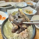 금수강산 | 청주 백숙 금수강산 능이백숙 삼계탕 솔직후기