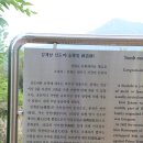 2017. 6. 24(토) 원주시 문막읍 반계리 "원주 800년 은행나무길" 트래킹 ② 이미지