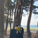 등명해변 | [셀프스냅] 강릉 셀프 웨딩촬영 후기 2탄 / 제주 느낌 나는 강릉 사진스팟 (남항진해변, 등명해변)