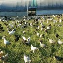 신한농장 이미지