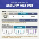 코로나19 국내(현황7월 10일) 이미지