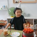 디무무 이미지