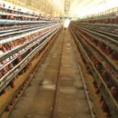 만수농장 이미지