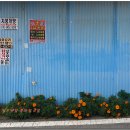 창천2리마을회관 이미지