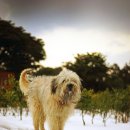 미로객잔 이미지