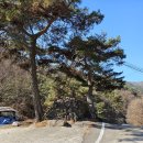 금수촌집 이미지