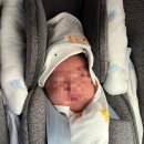 더 티(the T) | 싸이벡스 신생아 바구니 카시트 유모차 결합가능한 “클라우드T” 내돈내산 후기