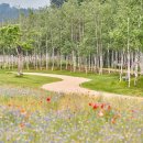 오남호수공원(음악분수)[오남-3] 이미지