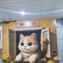 [냥냥펀치 캣쇼 후기] 일산 킨텍스에서 만난 꿀템들! 조공 트릿부터 치카오일펜까지