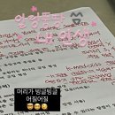 분석 준전문가) 비전공자 노베이스 5일 벼락치기 합격 후기_내돈내산 독학, 요약본 추천, 미어캣책...