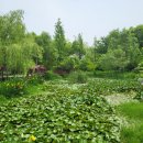 안산시티투어(대부권) 이미지