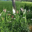 정남진휴랜드관광농원 이미지