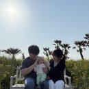 [여행] 아기랑 제주살이 11박 12일(3,4일차)_아르떼키즈파크, 온다정, 웨이뷰, 런던베이글, 외도339...