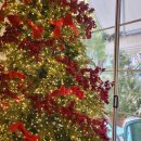 담금 젤라또 | 올림픽공원 카페 추천 <담금:DAMGEUM> 유럽 감성 젤라또 맛집🩷 (내돈내산/솔직후기)