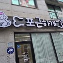 포근하개 이미지