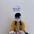 내가 누구개? 이미지