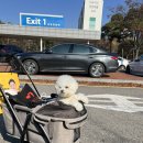 (주)펫스테이션 이미지