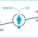 비비 파라다이스짐 이미지