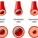 태선생 운동건강연구원(저스트바디짐) 이미지