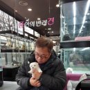 내 품안의 반려견(강서점) 네이버블로그