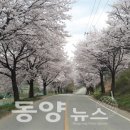 세기온실