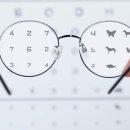 터미널  안경 이미지