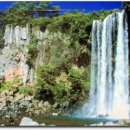 제주 올레길 6코스 이미지