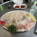 대전 둔산동 삼덕회포차 모둠회 내 돈 내산 후기