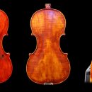 과르네리 이미지