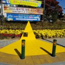 옐로카펫 이미지