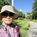 고운뜰길 티스토리