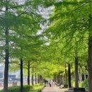 한밭수목원 서원 | 대전 한밭수목원 서원 후기 : 산책하기 좋은 공원