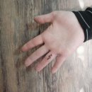 가락가락 이미지