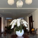 THE 강해짐 | 나트랑 태교여행 더 아남 리조트 솔직 후기(+더 아남 버거, 조식, 수영장 등)