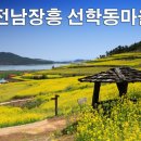 선학동 공영주차장 이미지