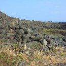 온평동로 이미지