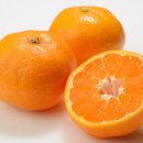 팜 휘트니스 이미지