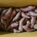 (주)농민마트 이미지